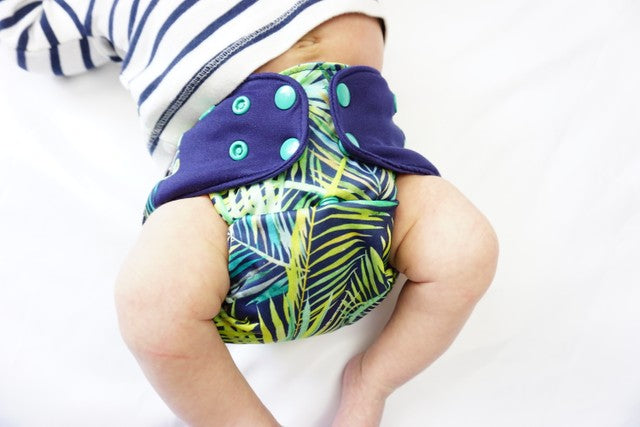 Pocket Nappies