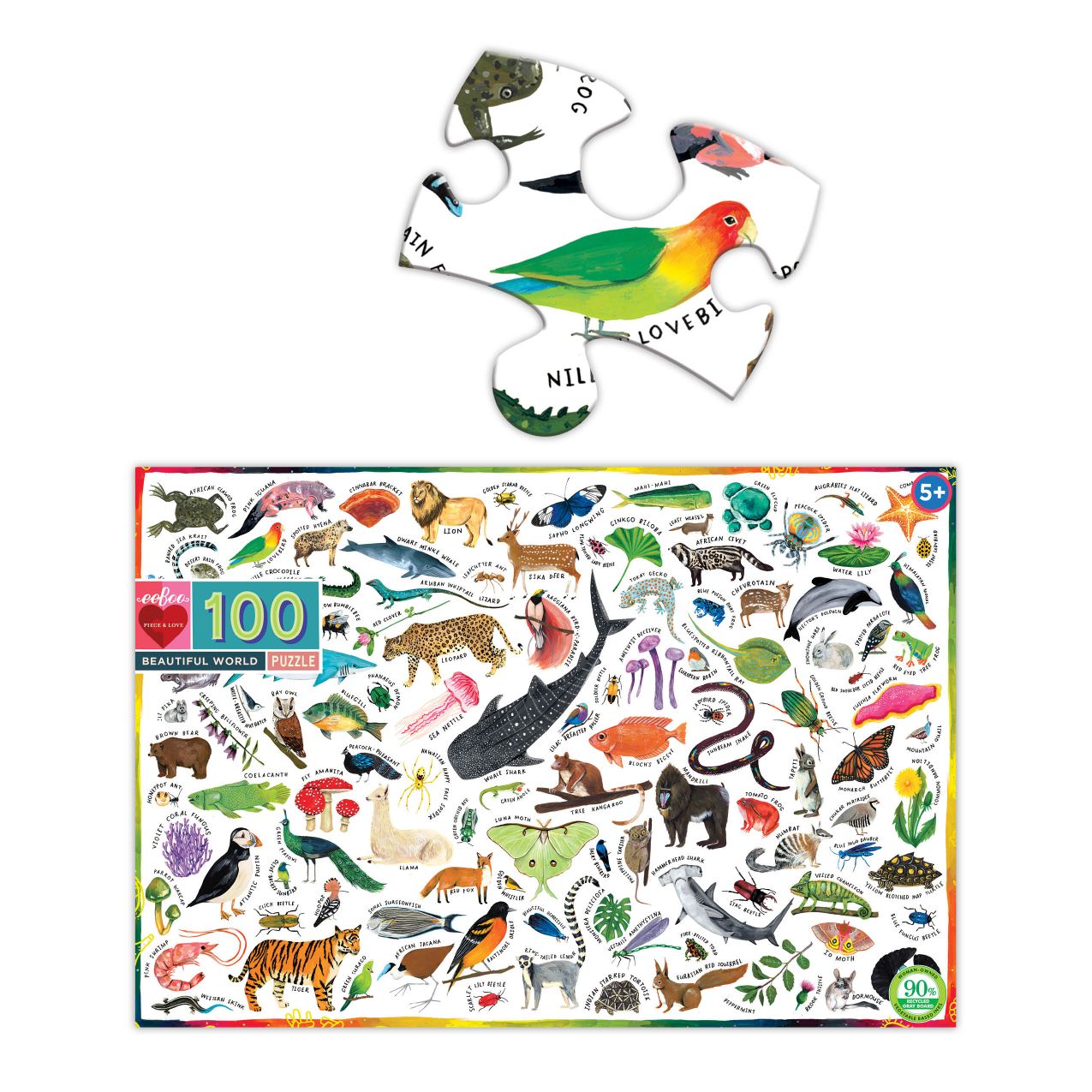 eeBoo 100 piece jigsaw puzzle - Beautiful World