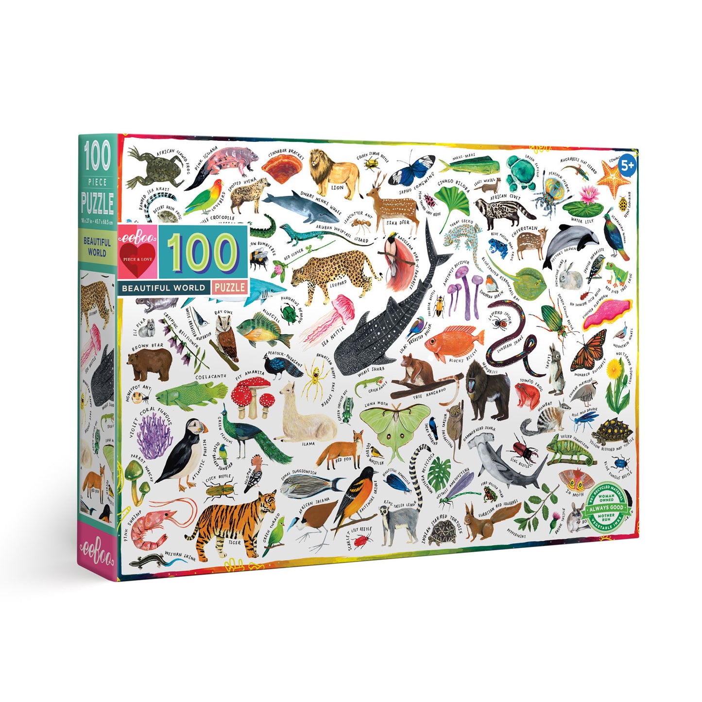eeBoo 100 piece jigsaw puzzle - Beautiful World
