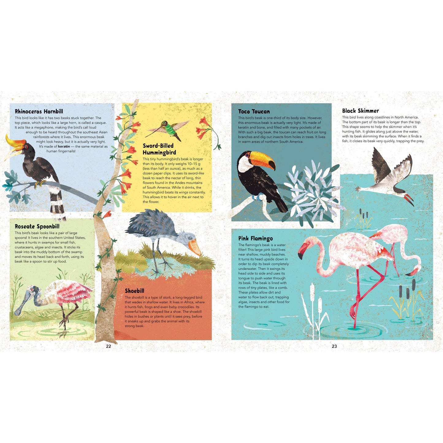Incredible Animals Hardback Book