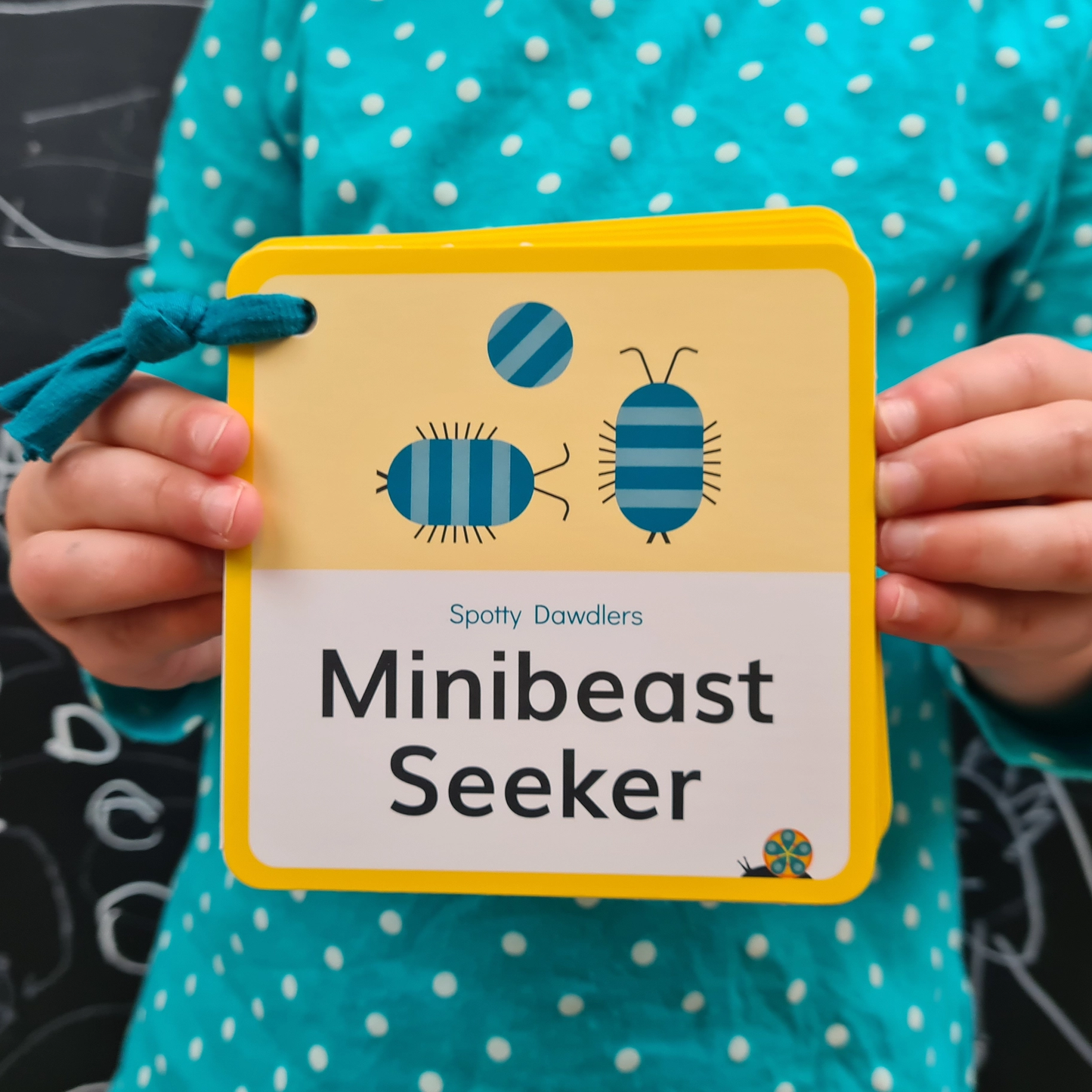 Minibeast Seeker Nature Spotting Sticker Book