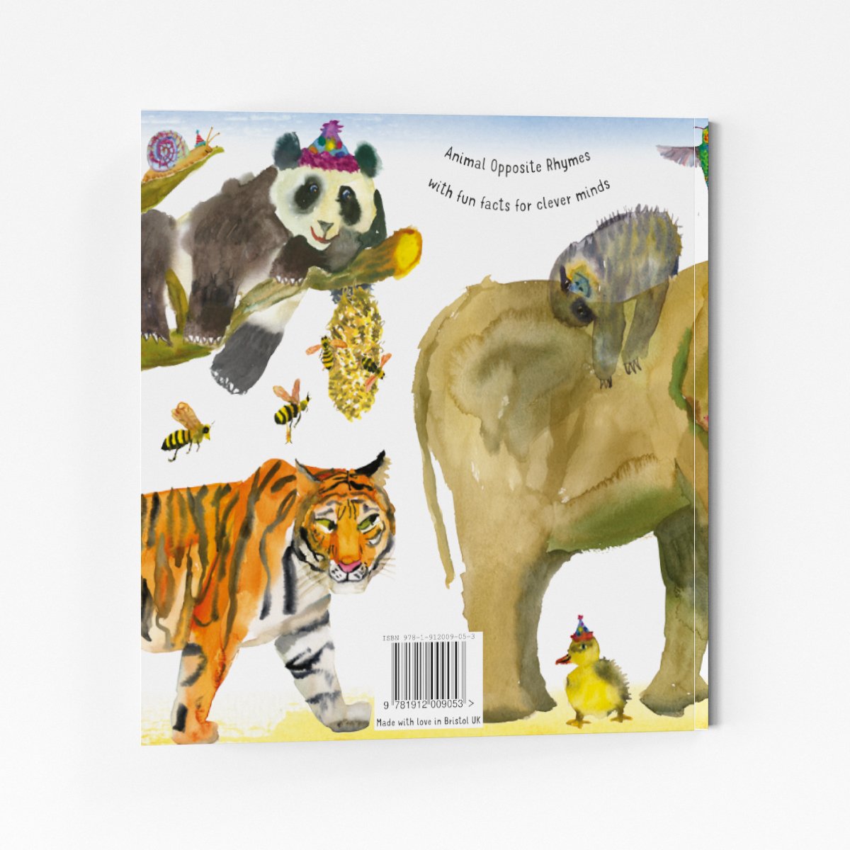 High Low Fast Slow Rhyming Book