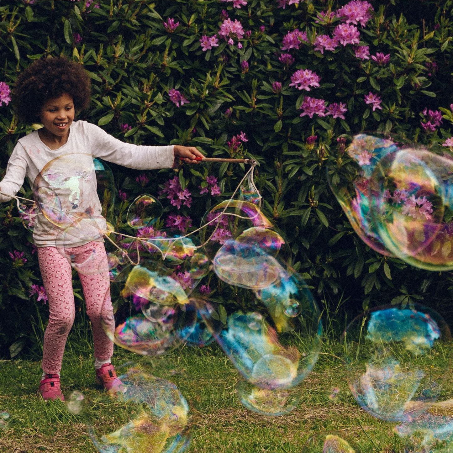 Dr Zigs Flatpack Multi Bubble Kit