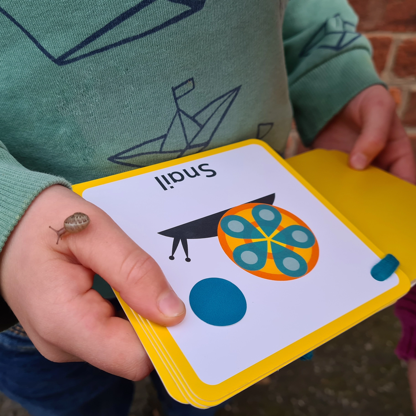 Minibeast Seeker Nature Spotting Sticker Book