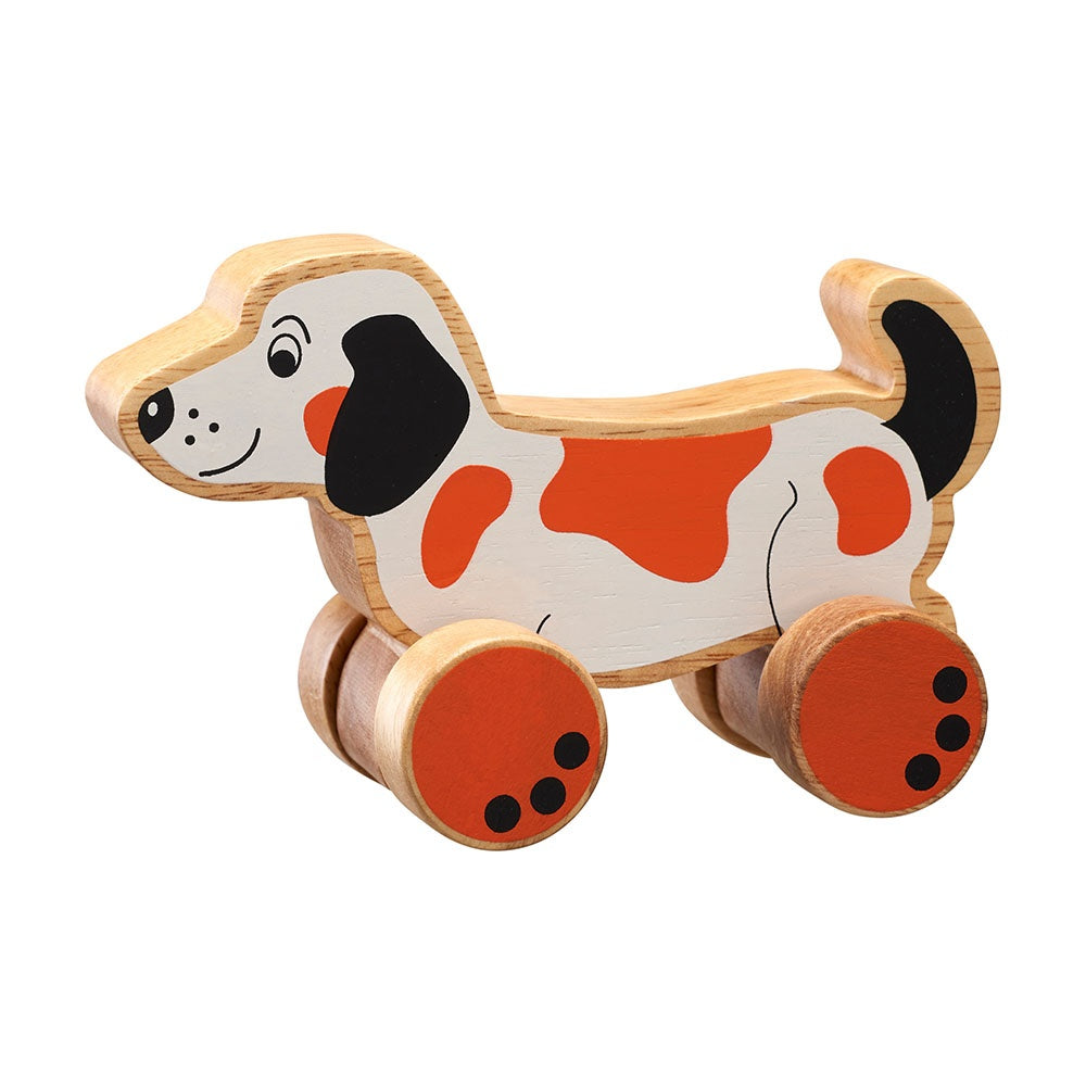 Lanka Kade Dog Push Along