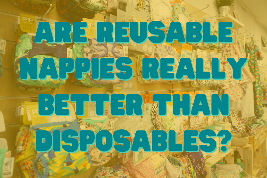 Eco 2024 reusable nappies