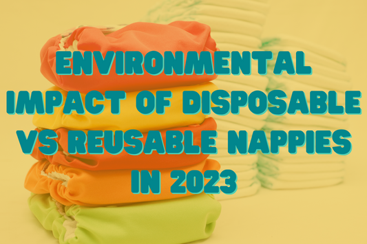 Environmental Impact of Disposable vs Reusable Nappies in 2023