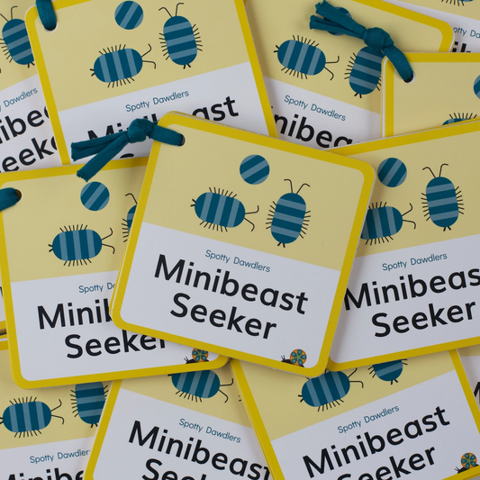 Minibeast Seeker Nature Spotting Sticker Book