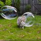 Dr Zigs Cat Bubbles - Catnip Scented
