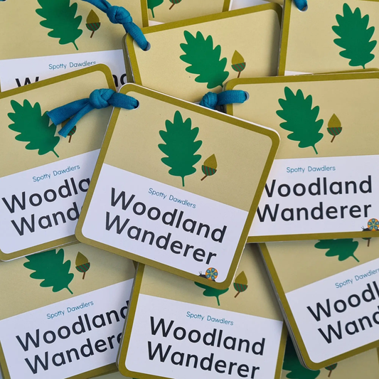 Woodland Wanderer Nature Spotting Sticker Book