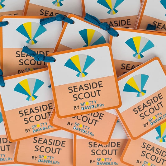 Seaside Scout Nature Spotting Sticker Book