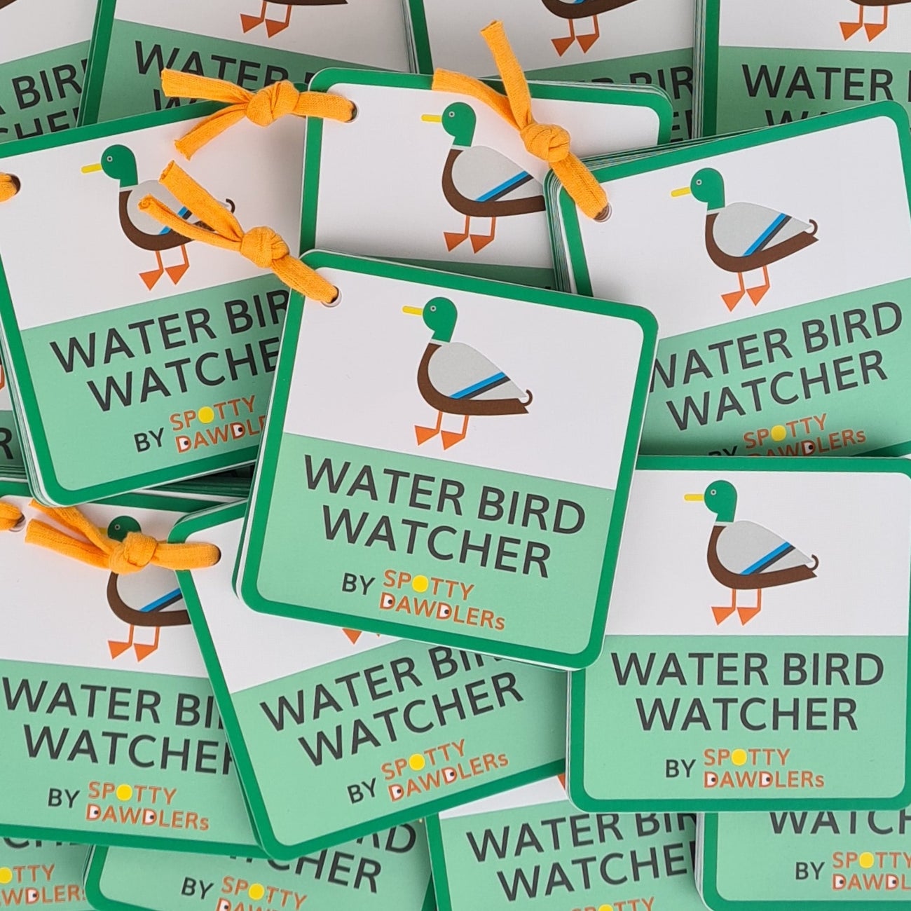 Water Bird Watcher Nature Spotting Sticker Book